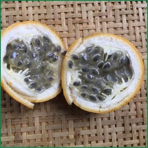 Chanh dây ngọt Columbia