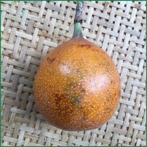 Chanh dây ngọt Columbia - Ảnh 2