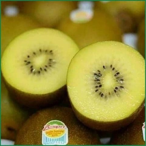 Kiwi vàng New Zealand