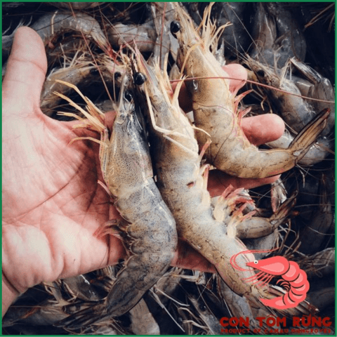Tôm thẻ (400g)