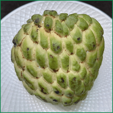 Mãng cầu Thái - Ảnh 2