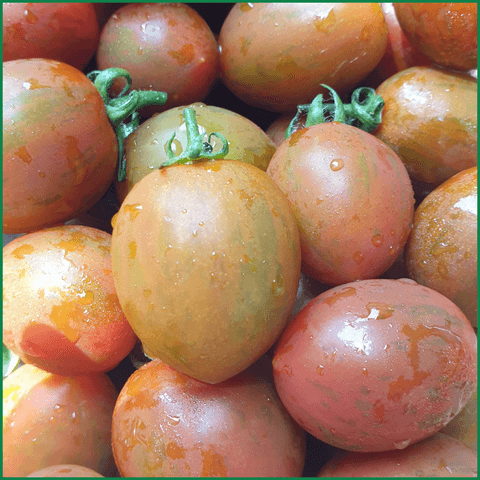 Cà chua bi - Ảnh 2