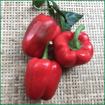 Ớt chuông đỏ