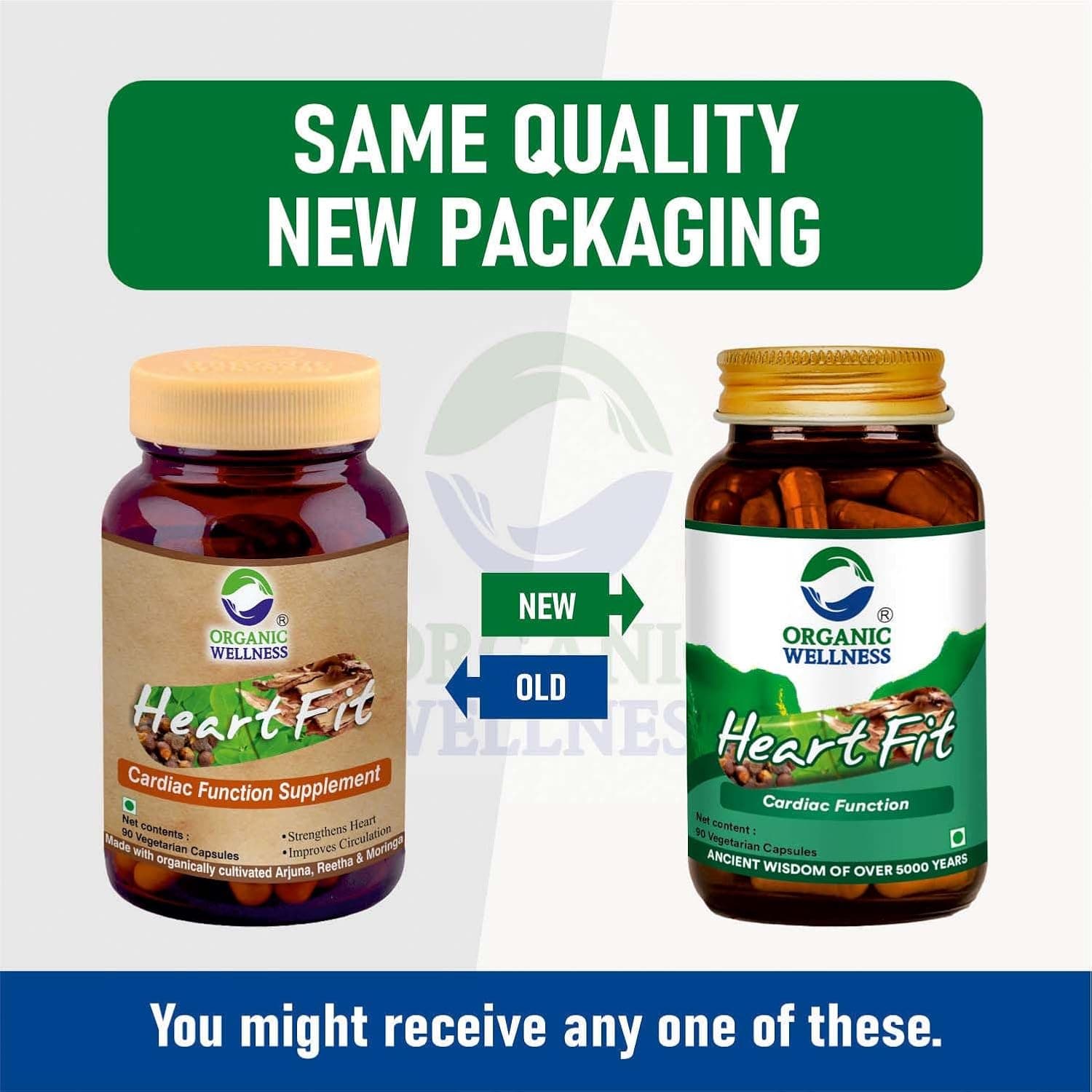 Organic Wellness Heart Fit Supplement With,Arjuna Reetha & Moringa - Ảnh 4