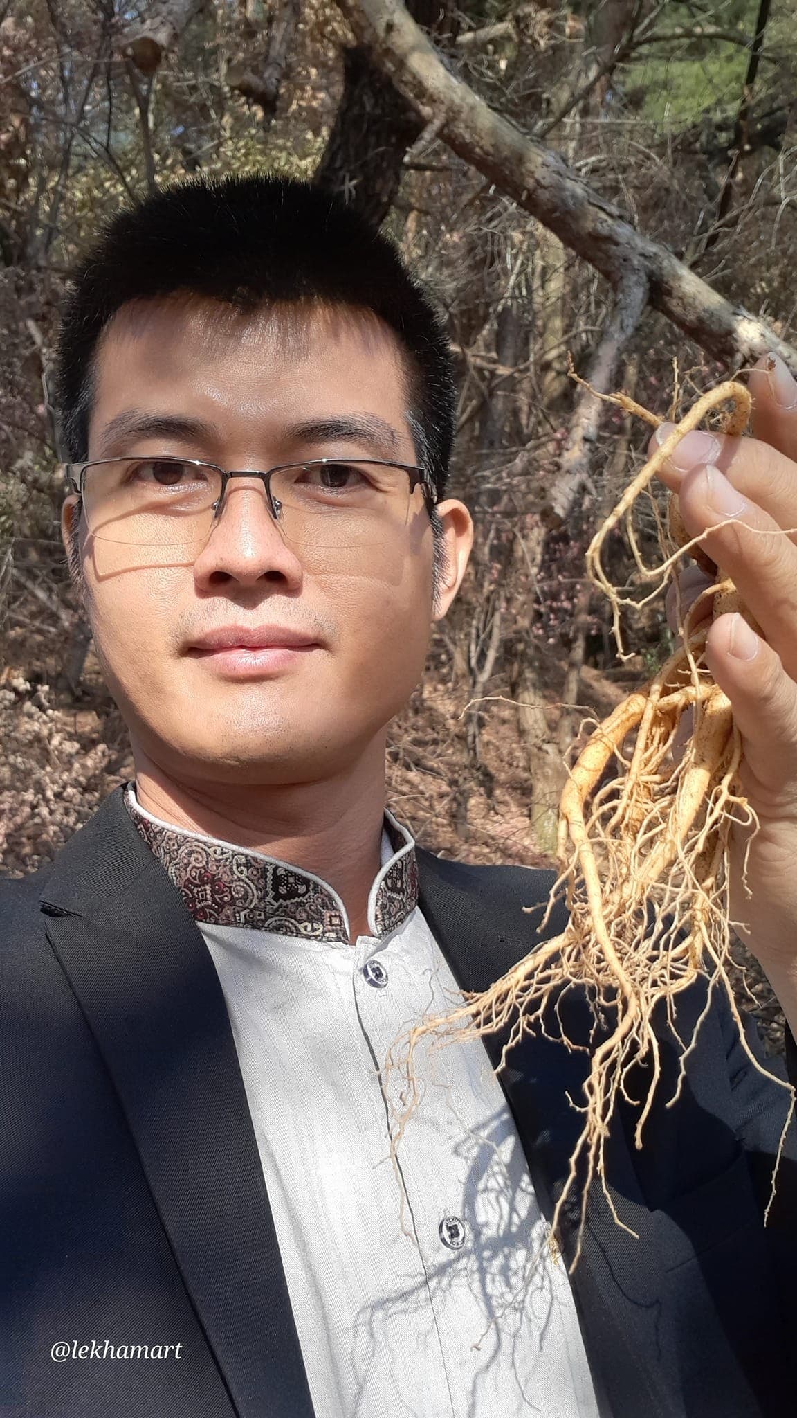 Nhân sâm núi Lasham 9 Năm Tuổi (5 Cây) - Ảnh 2